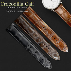 Crocodilia -Printed Calf Straps
